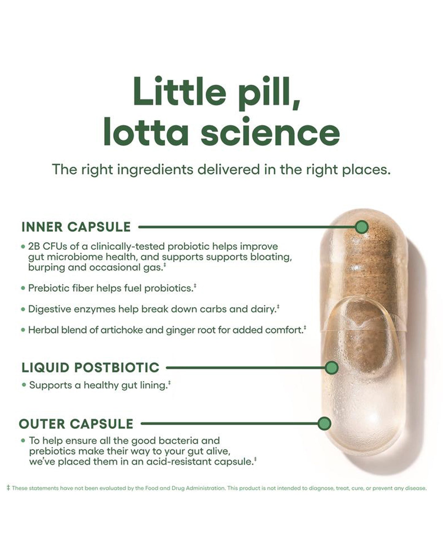 Hiilon's SynBio | Bloating + Gas Probiotics
