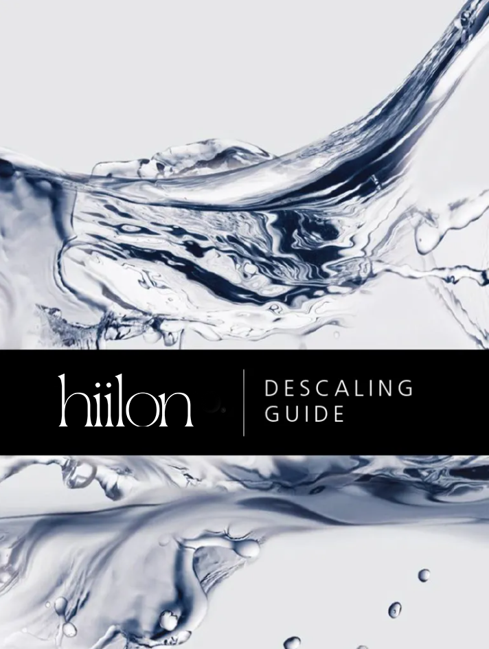 Steam Iron Descaling Guide